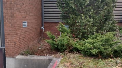 GHD Limit-dead - 651 Colby Drive photo 2