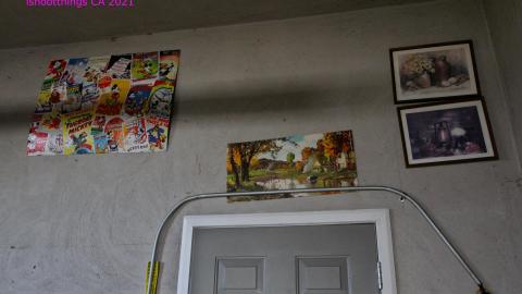 128 Old Mill Road - Nice Basement - IMG_9755.JPG