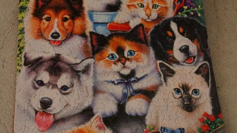 128 Old Mill Road - Nice Basement - IMG_9757.JPG