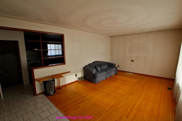 Amazon-Olini Appropriation-Olina photo 5