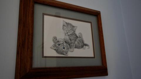 134 Old Mill Road - From The Home To The Hospital - IMG_9936.JPG