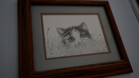 134 Old Mill Road - From The Home To The Hospital - IMG_9937.JPG