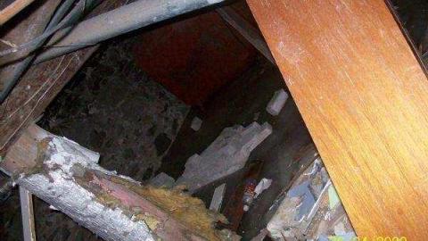 Chelmsford Red House photo 3