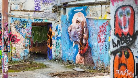 Barber Paper Mill - November 28th, 2021 - psx_20211127_202235_51711858486_o.jpg