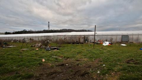 228 Old Mill Road - The Former Grow House - Greenhouses and Collapsing Barn - IMG_0057.JPG