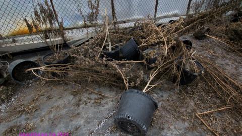 Photo from 228 Old Mill Road - The Former Grow House - Greenhouses and Collapsing Barn