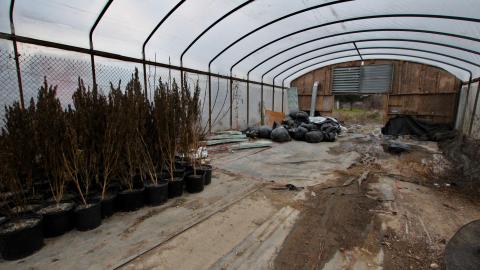 228 Old Mill Road - The Former Grow House - Greenhouses and Collapsing Barn - IMG_0060.JPG