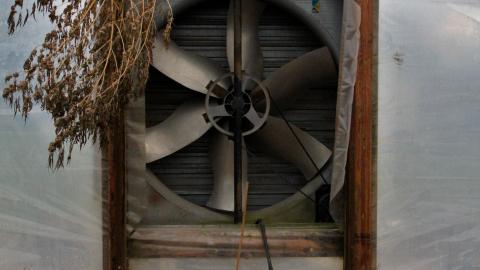 228 Old Mill Road - The Former Grow House - Greenhouses and Collapsing Barn - IMG_0062.JPG
