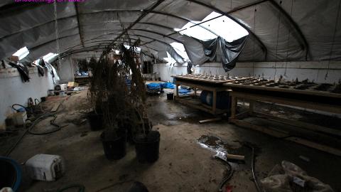 228 Old Mill Road - The Former Grow House - Greenhouses and Collapsing Barn - IMG_0063.JPG