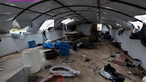 228 Old Mill Road - The Former Grow House - Greenhouses and Collapsing Barn - IMG_0070.JPG