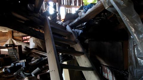 228 Old Mill Road - The Former Grow House - Greenhouses and Collapsing Barn - IMG_9985.JPG