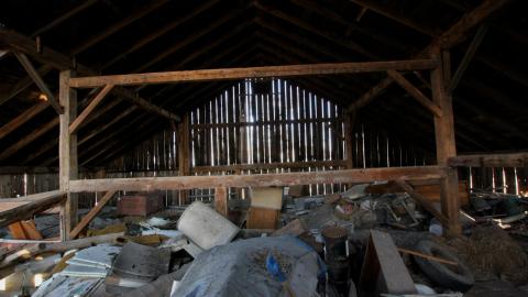 228 Old Mill Road - The Former Grow House - Greenhouses and Collapsing Barn - IMG_9992.JPG