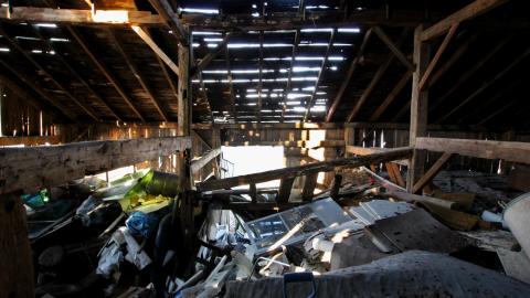 228 Old Mill Road - The Former Grow House - Greenhouses and Collapsing Barn - IMG_9993.JPG