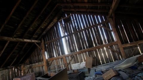 228 Old Mill Road - The Former Grow House - Greenhouses and Collapsing Barn - IMG_9994.JPG