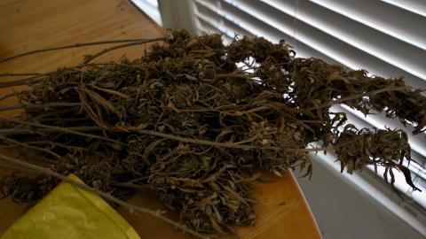 228 Old Mill Road - The Former Grow House - IMG_0013.JPG