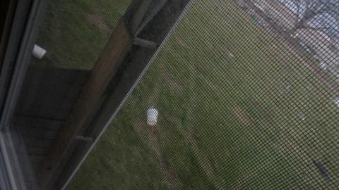 228 Old Mill Road - The Former Grow House - IMG_0040.JPG