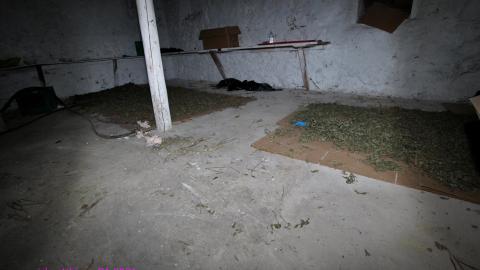 228 Old Mill Road - The Former Grow House - IMG_0052.JPG