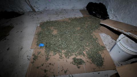 228 Old Mill Road - The Former Grow House - IMG_0053.JPG