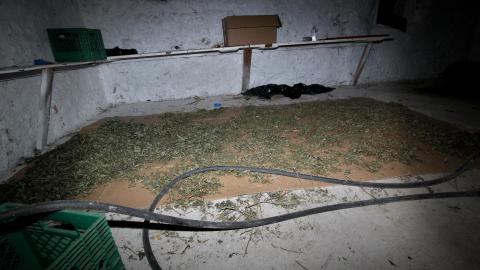 228 Old Mill Road - The Former Grow House - IMG_0055.JPG