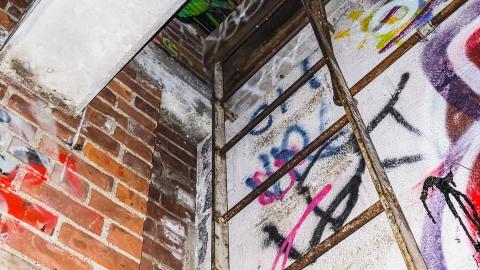 Linseed Oil - November 16th, 2021 - psx_20211116_210427_51686100564_o.jpg