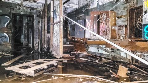 Linseed Oil - November 16th, 2021 - psx_20211116_220223_51684625027_o.jpg