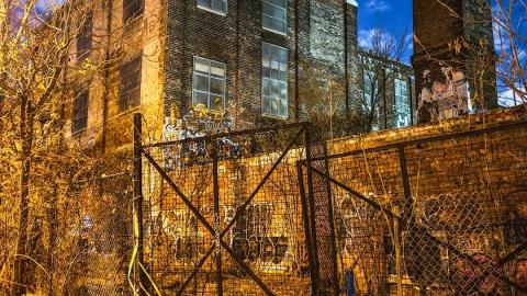 Linseed Oil - November 16th, 2021 - psx_20211116_220726_51686312480_o.jpg