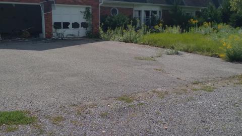 Photo from Cold December Day