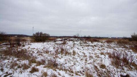 ...Cannot Stand 12/21/21 - IMG_1711.JPG