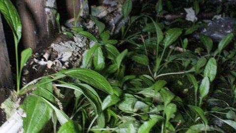 Photo from Shared Too Much 10/05/21