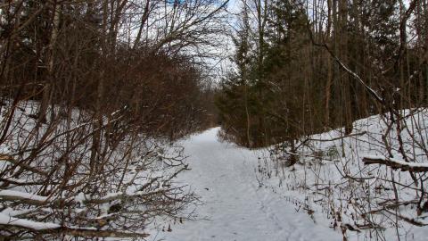 Post Birthday Excursion Dec 21st 2021 - IMG_0120.JPG