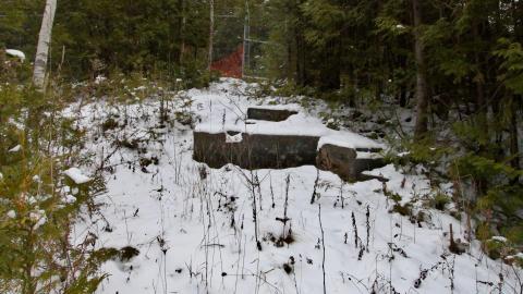 Post Birthday Excursion Dec 21st 2021 - IMG_0134.JPG