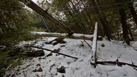 Photo from Post Birthday Excursion Dec 21st 2021