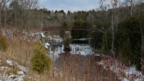 Post Birthday Excursion Dec 21st 2021 - IMG_0162.JPG