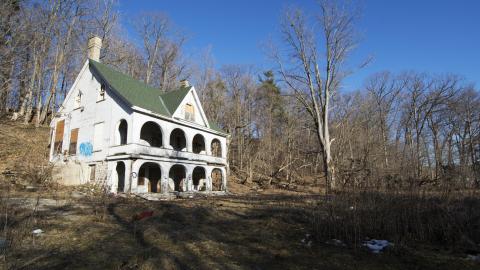 The Cedars - Multiple Visits September 2013 - February 2017 - 4.jpg