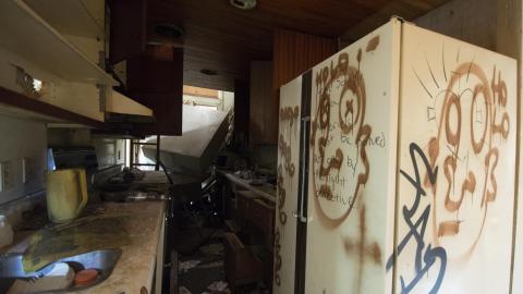 The Cedars - Multiple Visits September 2013 - February 2017 - 11.jpg