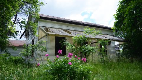 Stomping Grounds - 2 Visits - June 2014 - 1.jpg