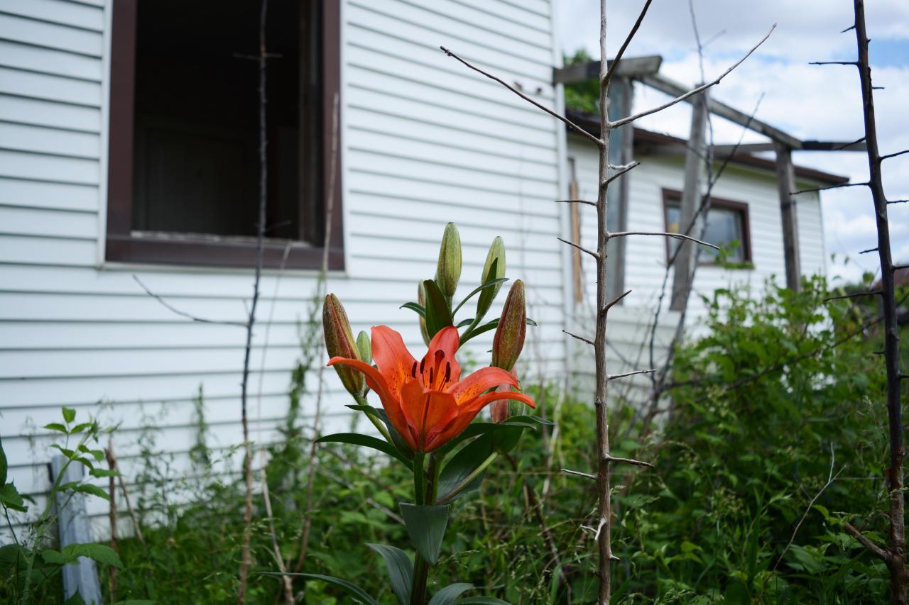 Stomping Grounds - 2 Visits - June 2014 - 18.jpg