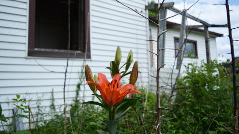 Something Thumping photo 5