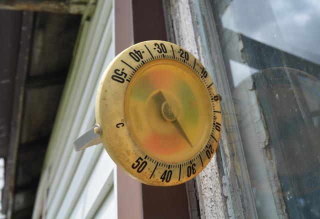 Something Thumping photo 2