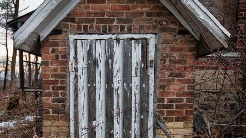 Rotting away - IMG_5410s.jpg