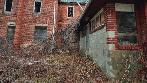 Rotting away - IMG_5411s.jpg