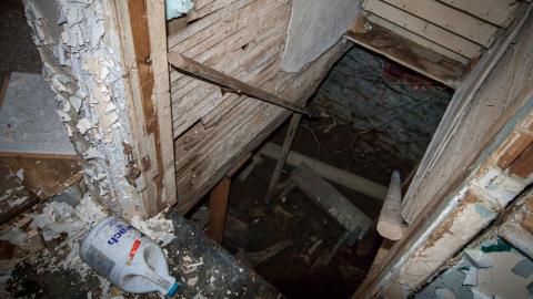Rotting away - IMG_5418s.jpg