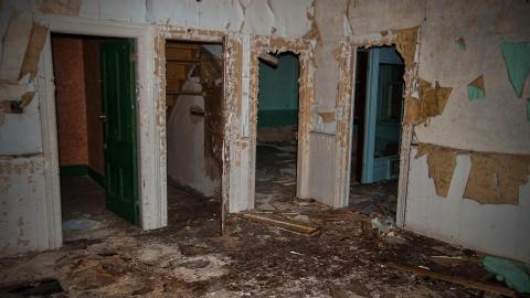 Rotting away - IMG_5426s.jpg