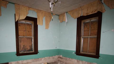 Rotting away - IMG_5428s.jpg
