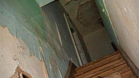 Rotting away - IMG_5434s.jpg