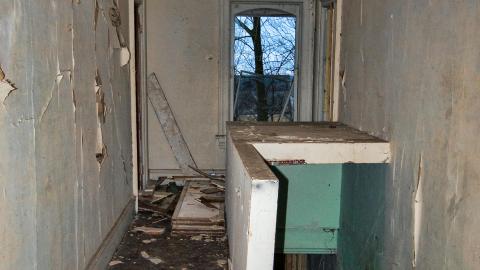Rotting away - IMG_5443s.jpg