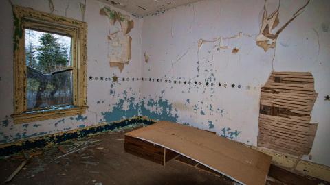 Rotting away - IMG_5449s.jpg