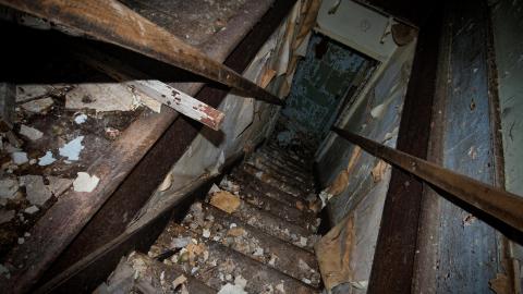 Rotting away - IMG_5464s.jpg