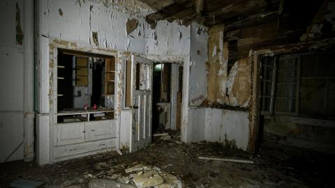 Rotting away - IMG_5480s.jpg