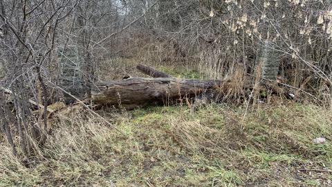 Omagh House New Years Eve 2021 - IMG_3619.JPG